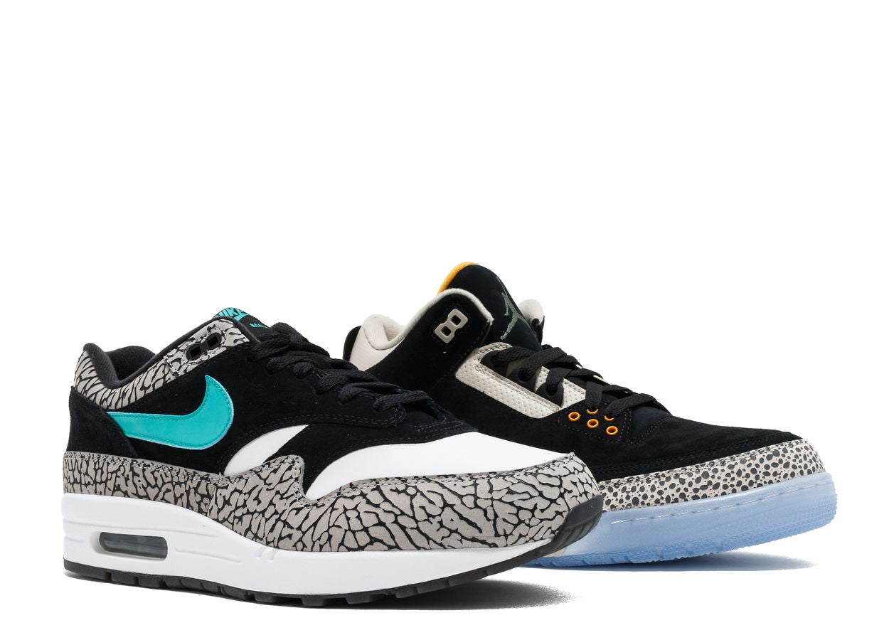 Jordan 3 Retro & Nike Air Max 1 Atmos Pack
